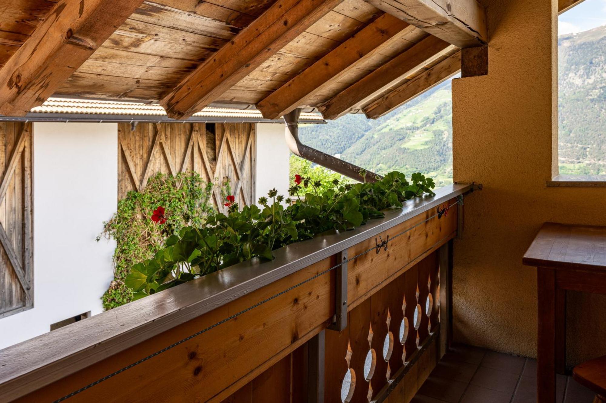 Birkenhof Alloggio per agriturismo *